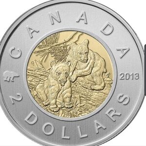 2013 RCM Specimen Set